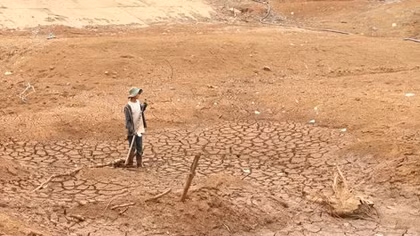 Hàng ngàn nông dân lo trắng tay, vỡ nợ vì hạn hán
