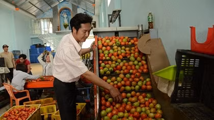 Sửng sốt với những sáng chế cực "độc" của anh nông dân Lâm Đồng