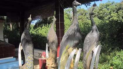 Bí ẩn rừng Ma-sát