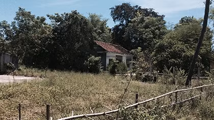 Tá hỏa phát hiện con gái chết trong thùng đựng lúa