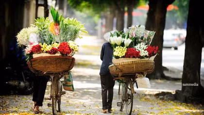Những ân phước tinh khiết của đời sống
