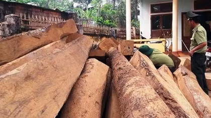 Phát hiện hai vụ vận chuyển gỗ lậu với số lượng lớn