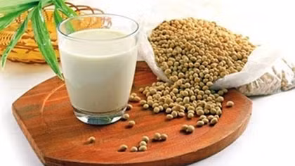 Người nông dân khốn đốn về thông tin tác hại của đậu nành