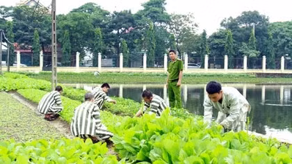 Nơi hồi sinh những phận đời lầm lỗi 