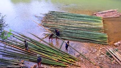 Những chuyến đi mùa xuân