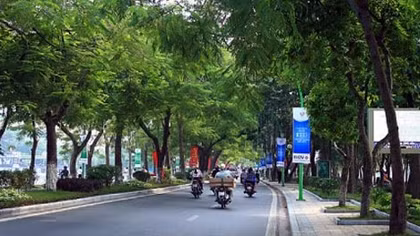 Hà Nội cử cán bộ ra nước ngoài học trồng cây xanh đô thị