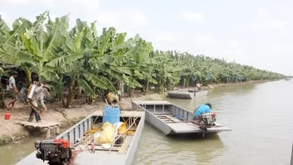 Gỡ khó cho Nông trường Sông Hậu