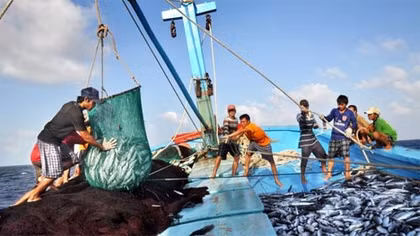 Ngư dân cần cảnh giác trước những tin đồn thất thiệt
