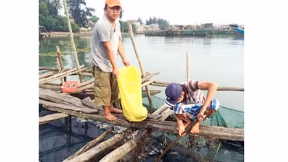 Xả đập đưa nước ngọt vào phá Tam Giang cứu cá nuôi