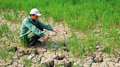 Điều chỉnh Dự án phát triển môi trường, hạ tầng đô thị ứng phó với biến đổi khí hậu