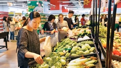 Không tiếc tiền mua thực phẩm sạch