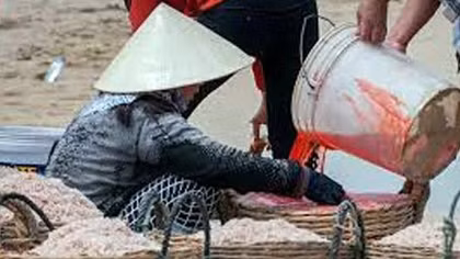 Hóa chất nhuộm màu thực phẩm dễ mua như… rau
