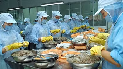 Tham tán thương mại phải là cánh tay nối dài của Chính phủ và doanh nghiệp