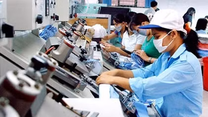 Các loại thuế, phí doanh nghiệp phải nộp
