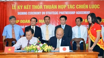 Sao Mai với những sản phẩm độc đáo và hiện thực 'hái vàng trên trời' 