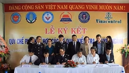 Triển khai địa điểm kiểm tra chuyên ngành tập trung tại Cảng Đà Nẵng