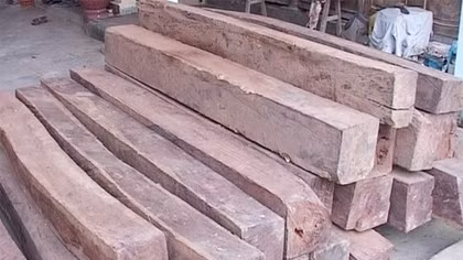 Phát hiện 250 khúc gỗ nhập lậu cất giấu trong chuồng gà 