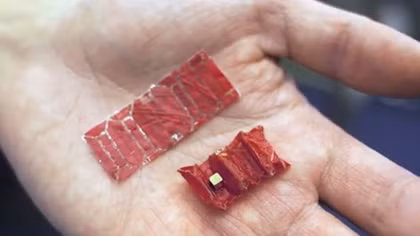 Robot origami siêu nhỏ mang thuốc điều trị vào tận bên trong cơ thể bệnh nhân