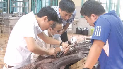Chuyện cảm động phía sau những lá đơn hiến thi thể