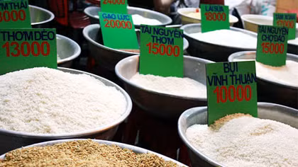 Không có gạo giả, gạo nhựa như tin đồn