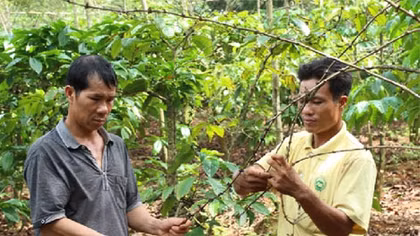 Phân bón giả tràn lan tại nhiều tỉnh Tây Nguyên