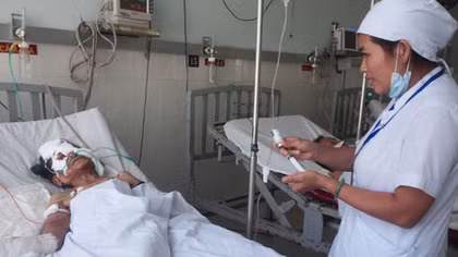 Hai cụ già bị heo rừng cắn đã qua cơn nguy kịch