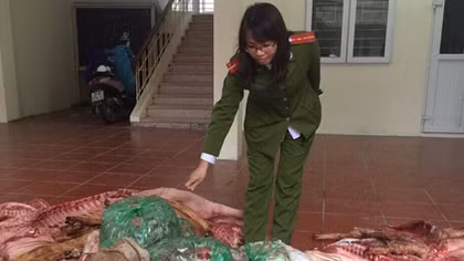 Hãi hùng phát hiện cả tấn lợn chết bày bán giữa chợ