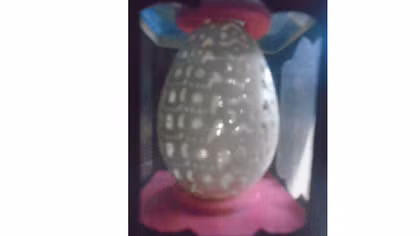 Kỳ tích từ vỏ trứng 