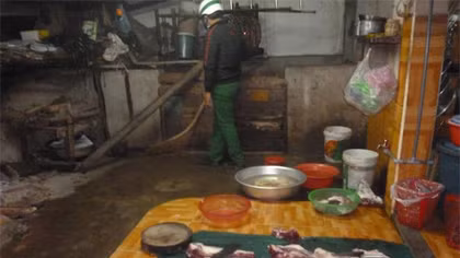 Giám sát chất cấm Salbutamol tại các cơ sở giết mổ 