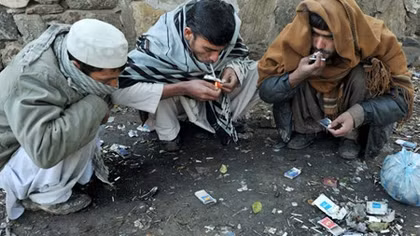 Afghanistan: Sản xuất buôn bán thuốc phiện tăng gấp 40 lần sau 14 năm