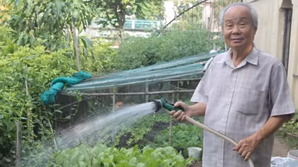 Những chiều bình yên bên đời...