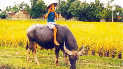 Sự nhẫn nhịn