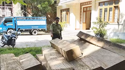 Bắt giữ xe tải chở 18 phách gỗ lậu