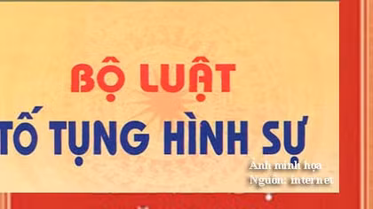 Một số ý kiến về quyền của người bị bắt, bị tạm giữ, bị can, bị cáo trong tố tụng hình sự 