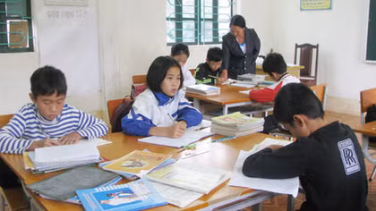 Những bó hoa dại ấm lòng thầy cô