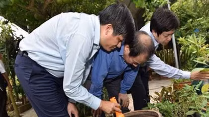 Chính phủ chỉ đạo các địa phương tăng cường chống dịch sốt xuất huyết