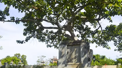 Thiêng liêng được gọi tiếng "Thầy"