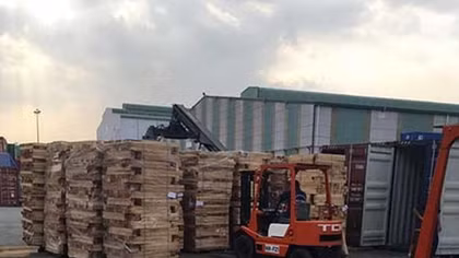 6 container gỗ xẻ núp bóng giường gỗ xuất khẩu