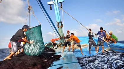 Hội Nghề cá kiến nghị tăng cường bảo vệ ngư dân