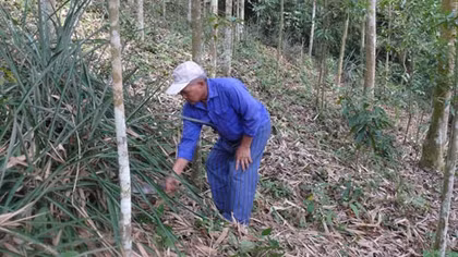 Người cựu binh rộng lòng hiến đất