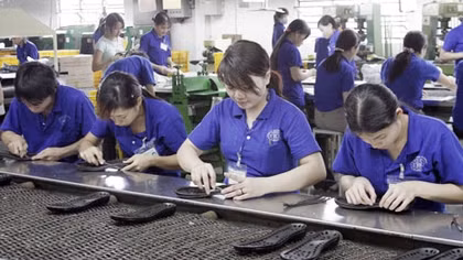 Kiến nghị xử lý hình sự nợ đọng bảo hiểm