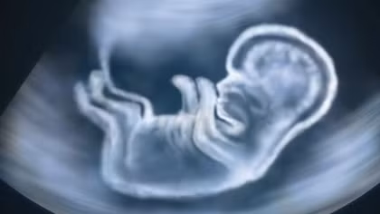 Trung Quốc nghiên cứu thành công biến đổi gene phôi thai người