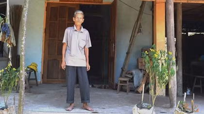 Xác minh vụ ‘bò lạc’ vào nhà trưởng thôn