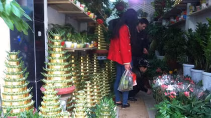 Hoa, cây cảnh Tết 2015: Độc đáo, bình dân lên ngôi