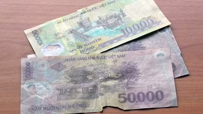Năm 2015 được xem là 'năm công tác tiêu hủy'