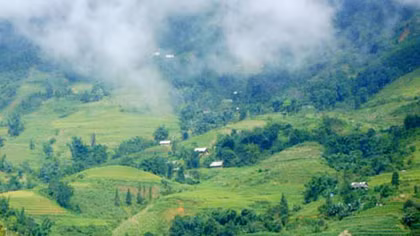 Thế đấy, Pha - Long