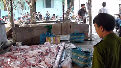 Sử dụng chất cấm trong chăn nuôi: Chế tài xử phạt như gãi ngứa nên nhờn luật