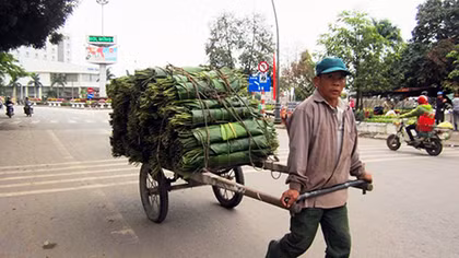 Những sản phẩm thời vụ dịp Tết… hút khách