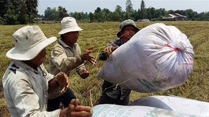 Thành lập Ban Chỉ đạo quốc gia Chương trình hành động "Không còn nạn đói"