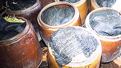 Phát hiện thêm lò sản xuất giá đậu bằng hóa chất độc hại